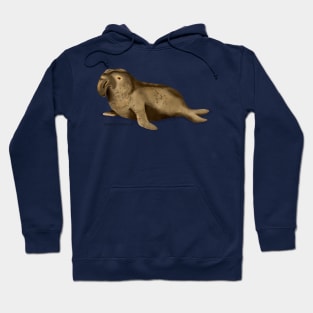 Elephant Seal Hoodie